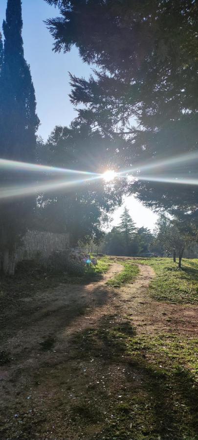 Tenuta Valle Incanto ロコロトンド エクステリア 写真